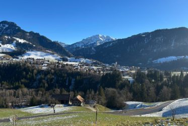 Unique ! Somptueux chalet rénové du 17ème siècle comprenant 4 logements au caractère unique et préservé
