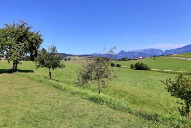 Appartement 4,5 pièces au rez-de-jardin d'une ferme totalement rénovée