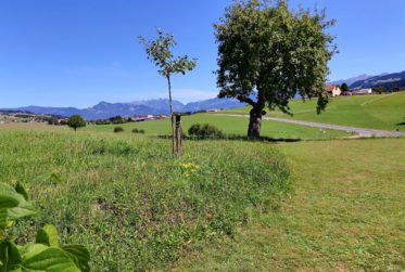 Appartement 4,5 pièces au rez-de-jardin d'une ferme totalement rénovée