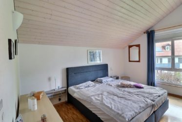 Harmonie entre nature et confort – belle villa individuelle de 5.5 pièces