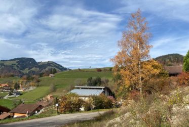 Terrain avec permis en force pour une villa/chalet individuel