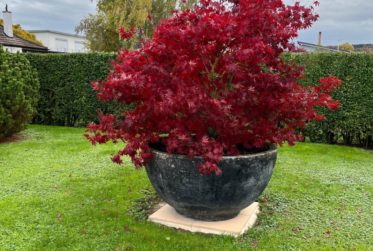 Belle maison individuelle de 4,5 pièces au cœur d'un lotissement résidentiel