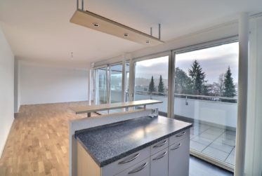 Somptueux attique de 4.5 pièces rénové avec vue imprenable sur le Moléson et la ville de Bulle !