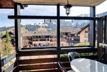 Appartement de 2 pièces : charme et confort au coeur du Village !