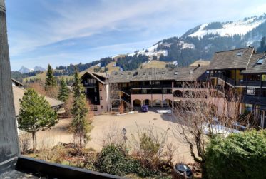 Appartement de 2 pièces : charme et confort au coeur du Village !