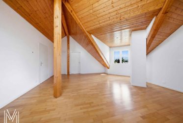 Villa d'exception de 6,5 pièces dans un quartier calme résidentiel avec vue exceptionnelle !