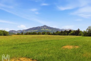 Un écrin d’exception au cœur de la Gruyère – Élégant appartement haut de gamme de 4,5 pièces avec jardin privatif