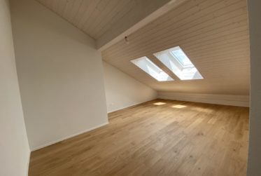 SUPERBE ATTIQUE 5,5 PIECES !!!