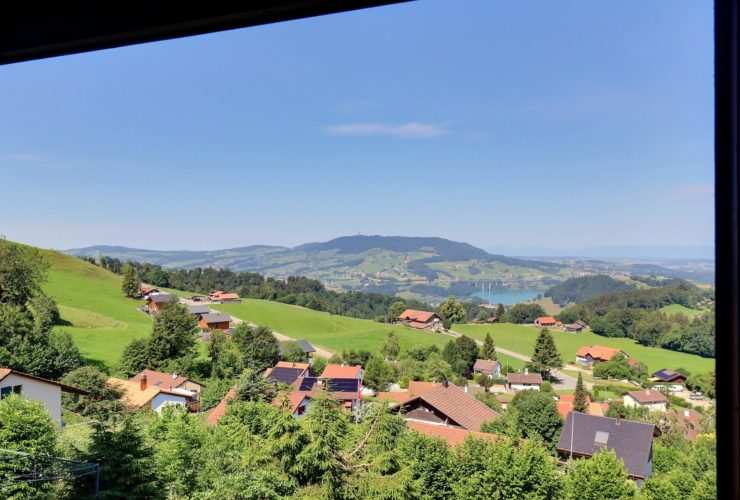 Chalet authentique avec vue imprenable sur le Lac de la Gruyère