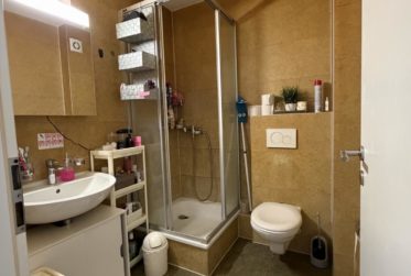 Appartement 3,5 pièces au 1er étage