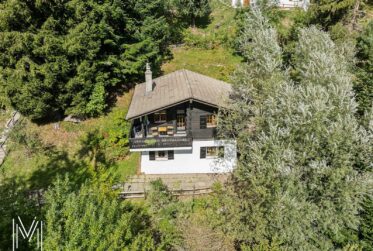 Un havre de paix au pied du Moléson – Chalet 4.5 pièces au cœur de la nature
