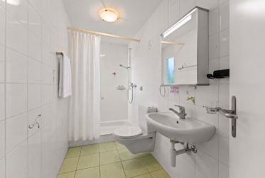 maison individuelle avec potentiel