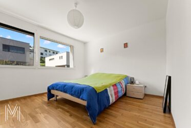 UNE VILLA CONTEMPORAINE de 4.5 pièces en bordure de zone agricole avec situation calme et exceptionnelle